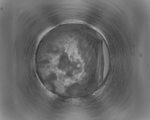 X0000070360995200606231618