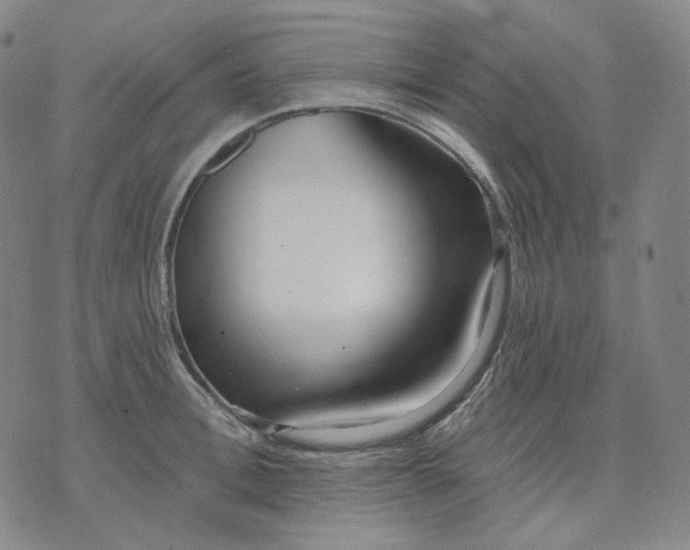 X0000070360996200606231618