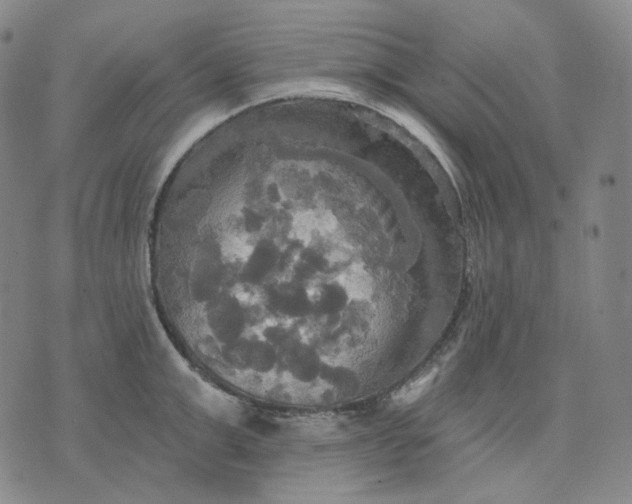 X0000070360999200606231618