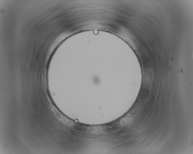 X0000070361000200606231618