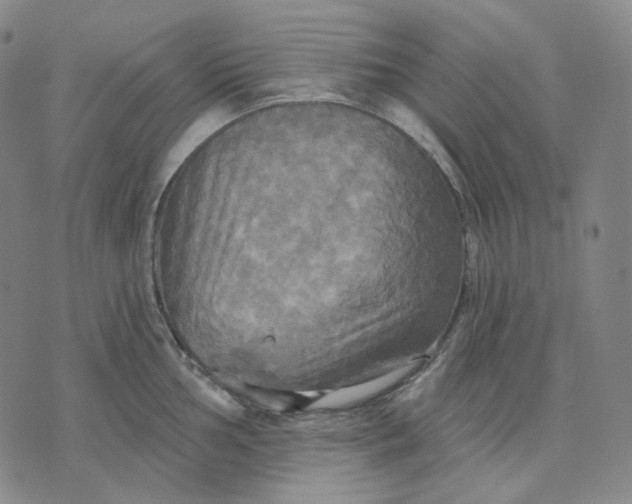 X0000070361002200606231618