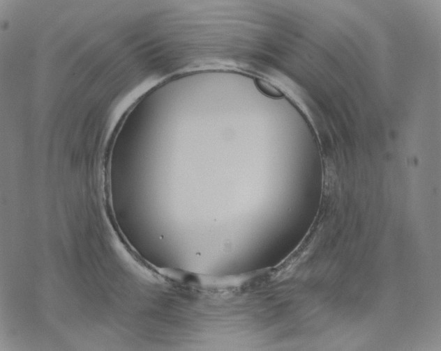 X0000070361003200606231618