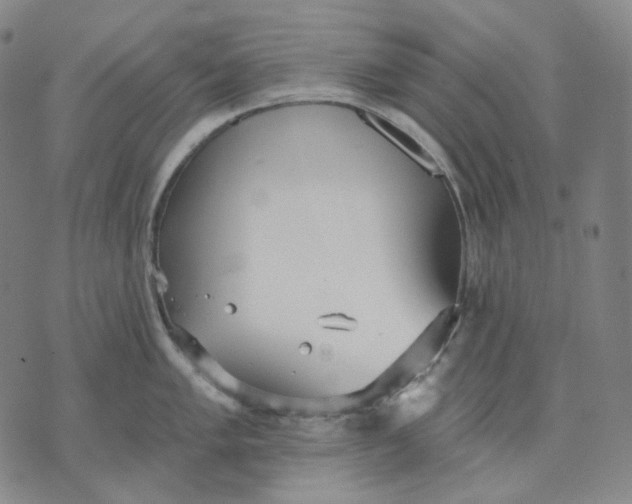 X0000070361005200606231617