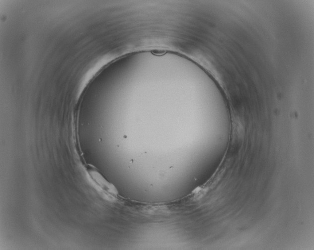 X0000070361006200606231617