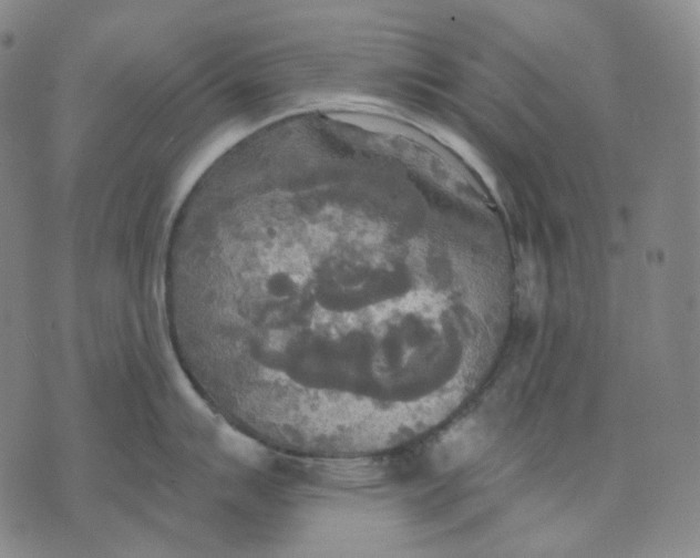 X0000070361007200606231617