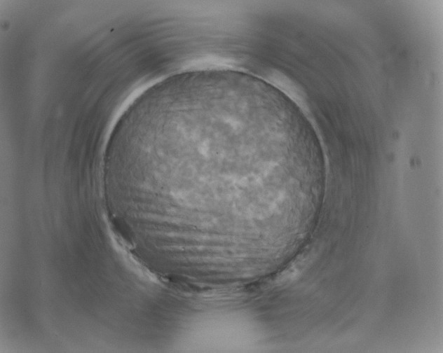 X0000070361008200606231617