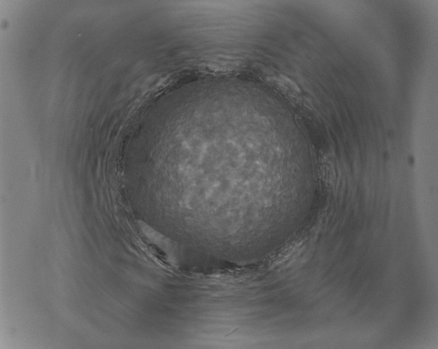 X0000070361009200606231617