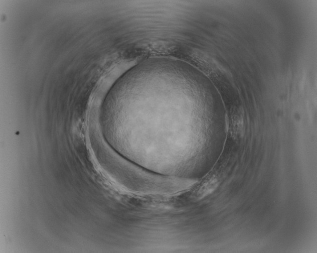 X0000070361010200606231617