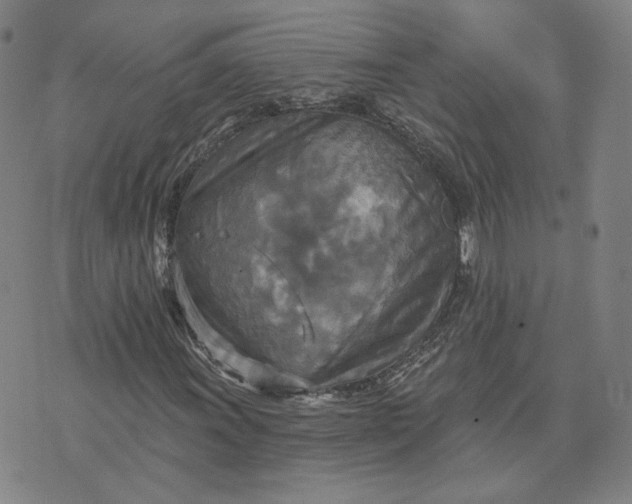 X0000070361011200606231617