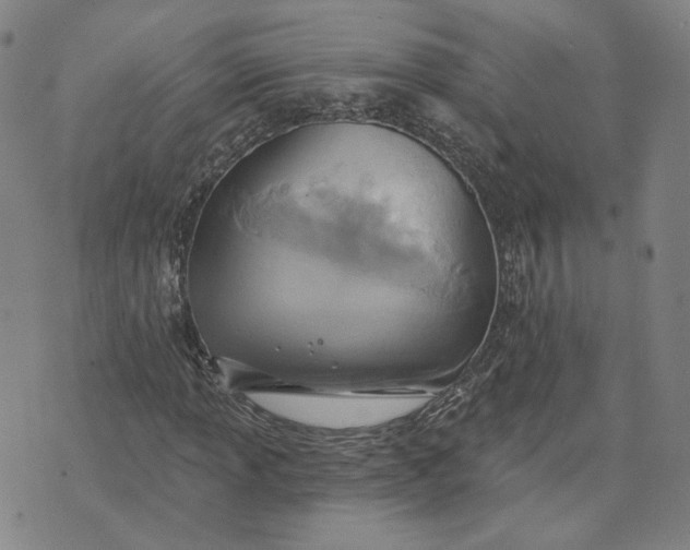 X0000070361013200606231617