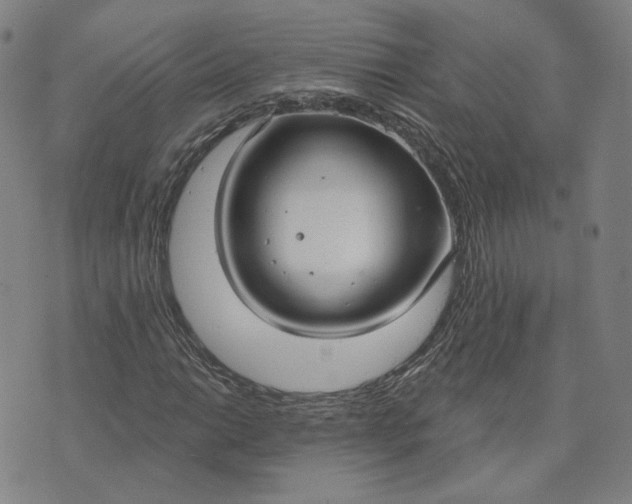 X0000070361014200606231617