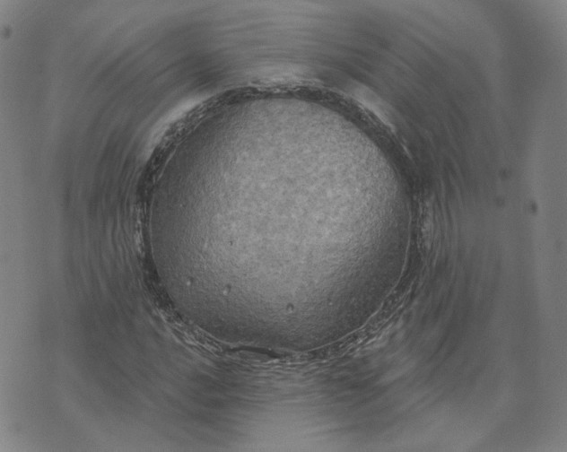 X0000070361016200606231617