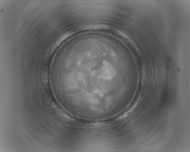 X0000070361017200606231617