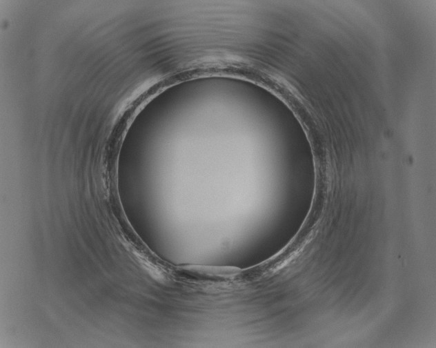 X0000070361018200606231617