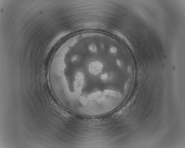 X0000070361019200606231617