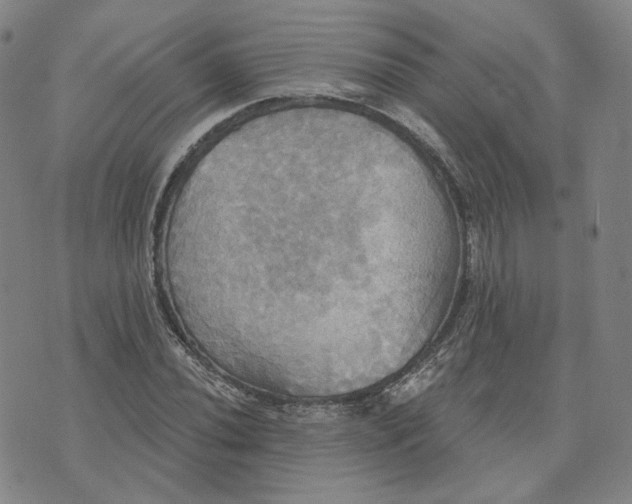 X0000070361020200606231617