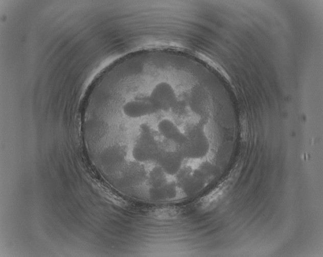 X0000070361021200606231617