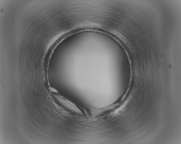 X0000070361022200606231617