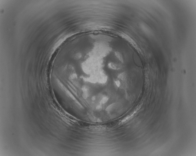 X0000070361023200606231617