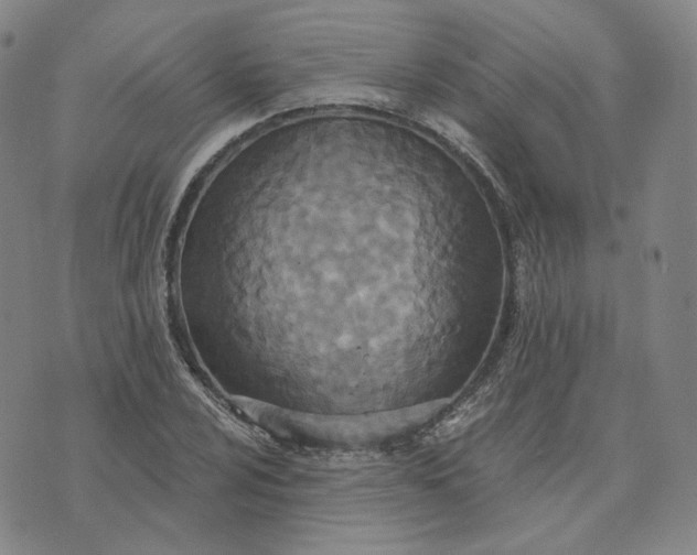 X0000070361024200606231617