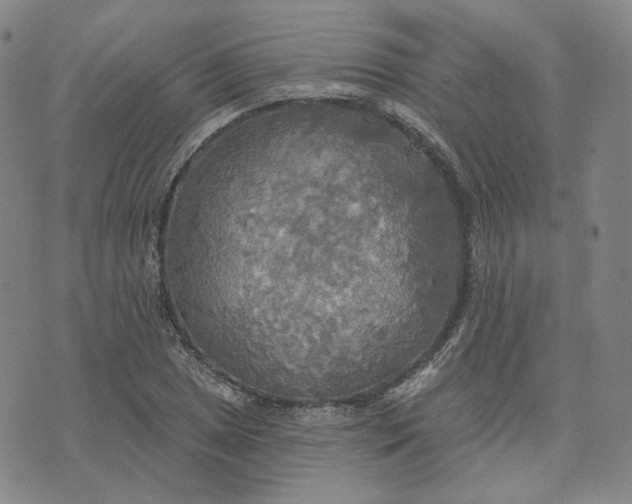 X0000070361025200606231617