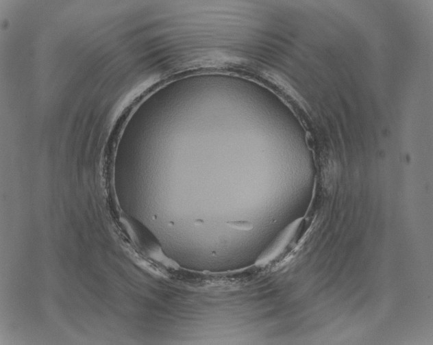 X0000070361026200606231617