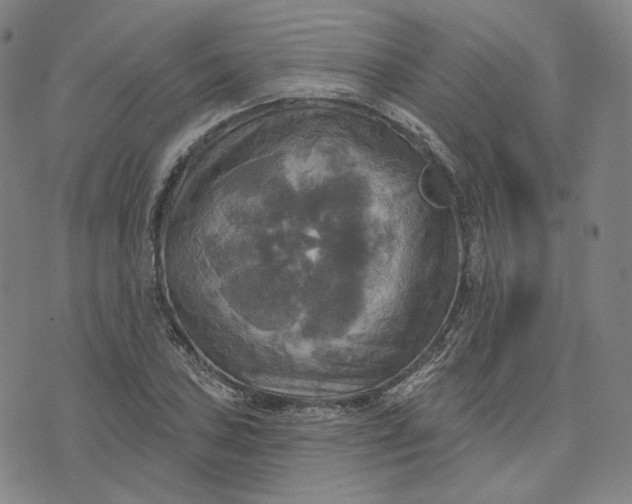 X0000070361027200606231617