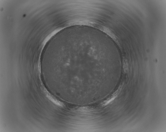 X0000070361028200606231617