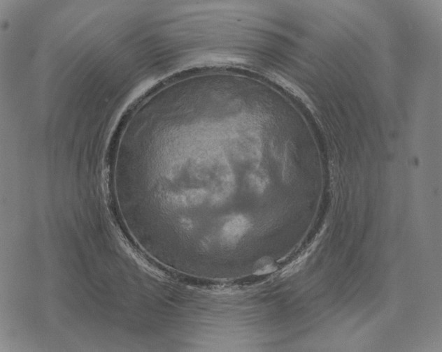 X0000070361029200606231617