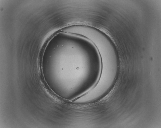 X0000070361030200606231617