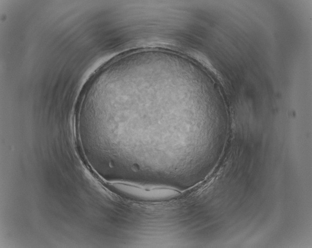 X0000070361032200606231617