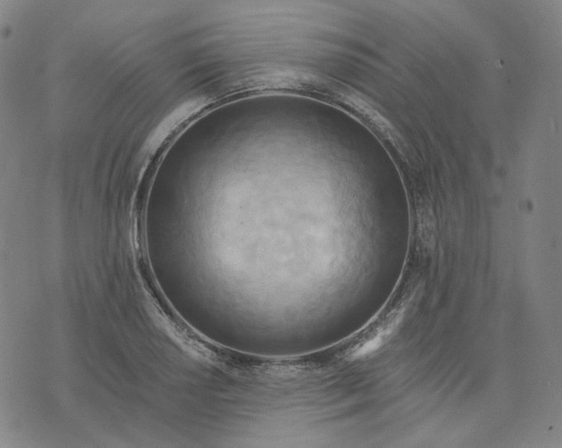 X0000070361034200606231617