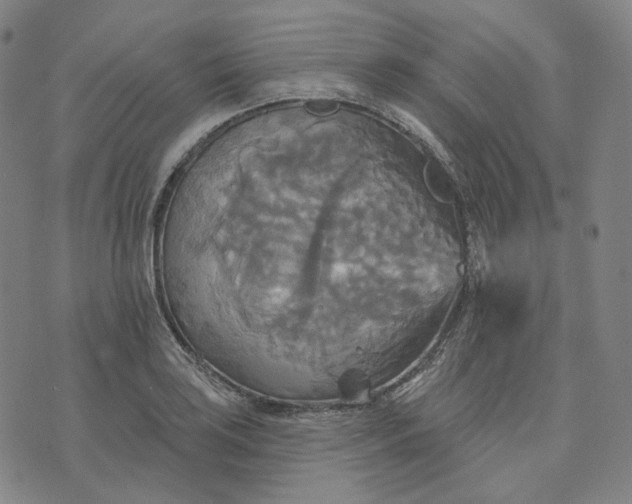 X0000070361035200606231617