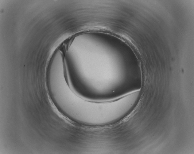 X0000070361038200606231617