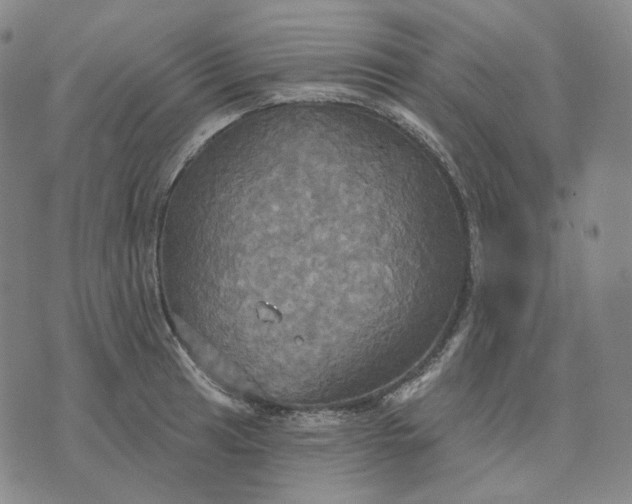 X0000070361041200606231617