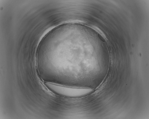 X0000070361044200606231617