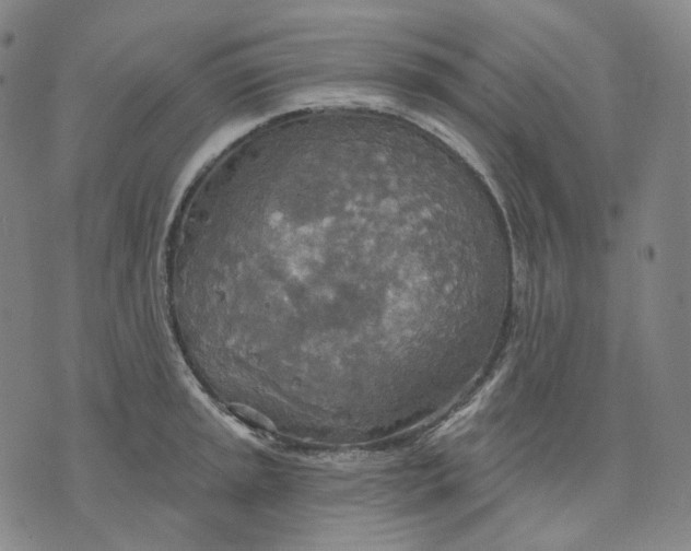 X0000070361045200606231617