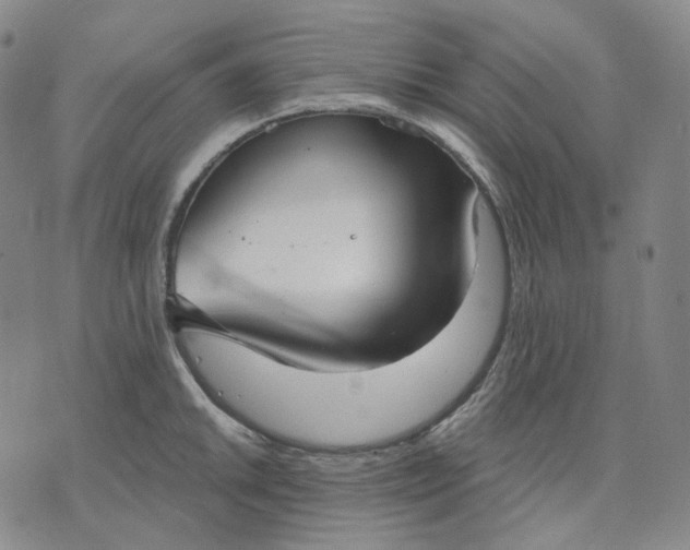 X0000070361046200606231617