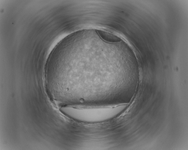 X0000070361048200606231617