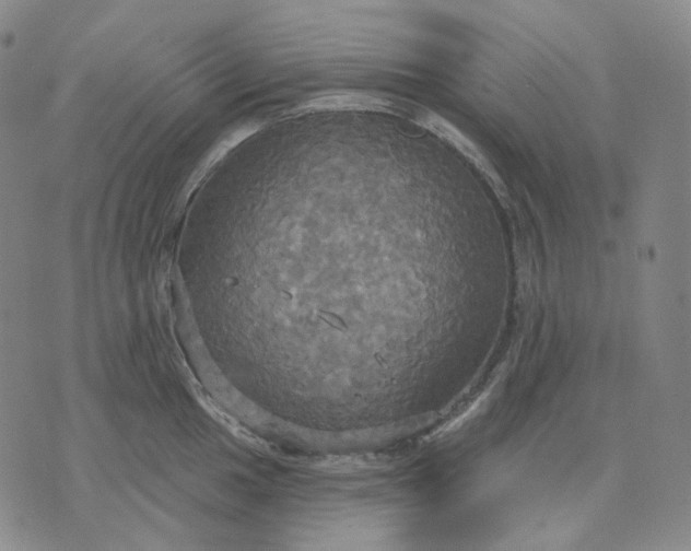 X0000070361049200606231617