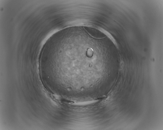 X0000070361051200606231617