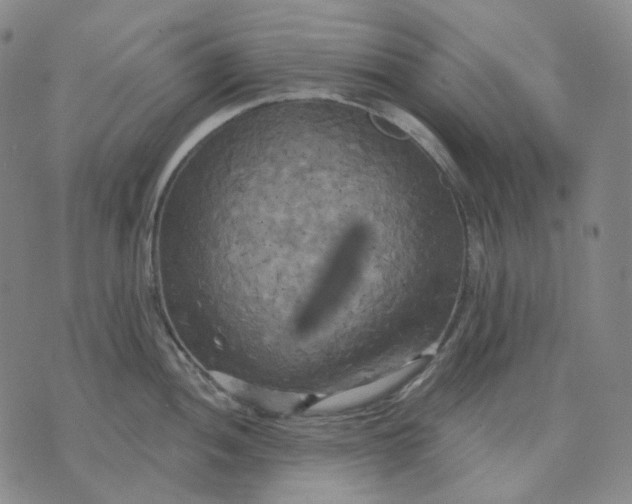 X0000070361052200606231617