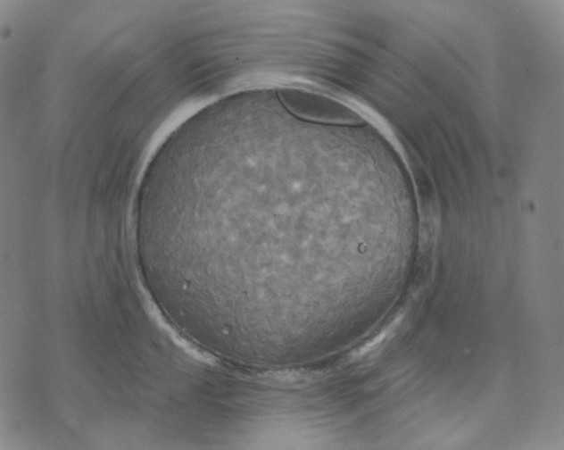 X0000070361053200606231617