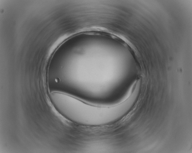 X0000070361054200606231617