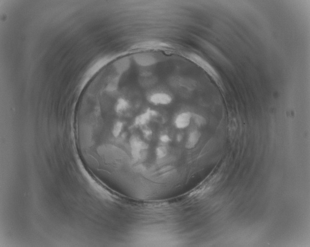 X0000070361055200606231617