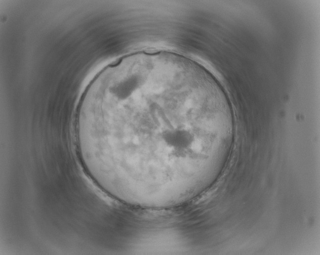 X0000070361056200606231617