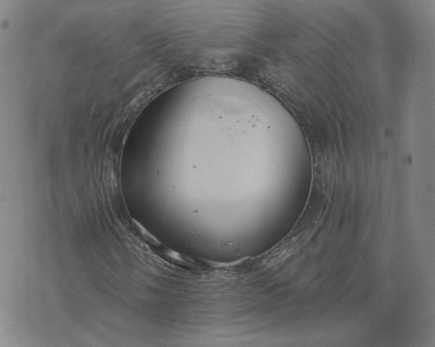 X0000070361058200606231617