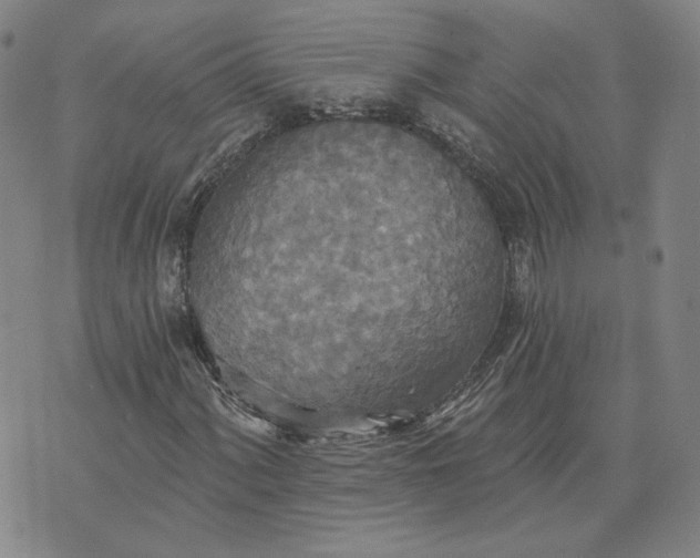 X0000070361060200606231617