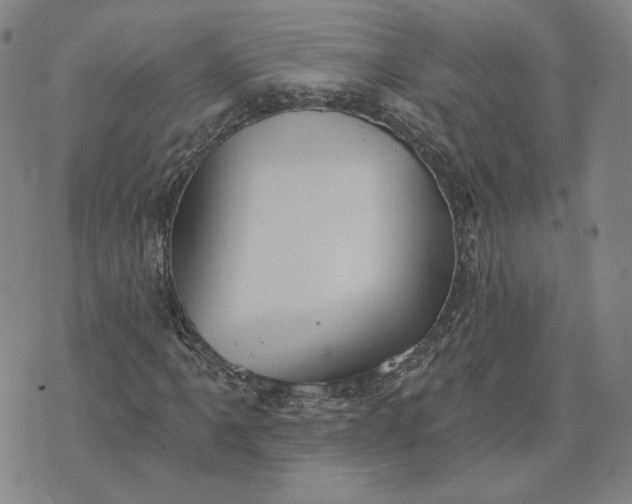 X0000070361061200606231617