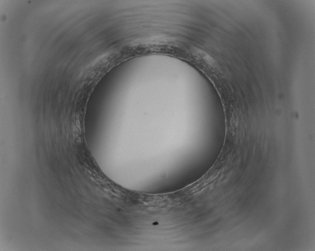 X0000070361062200606231617